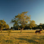 The Truth About Productive Agricultural Land