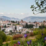 The Pain in Spain